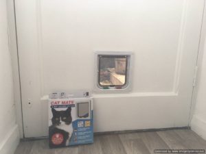 cat flap fitter double glazing, glass cat flap, local cat flap fitter, sussex cat flap fitter,Just Cat Flaps, cat flap in wall, wall cat flap, microchip cat flap eastbourne, eastbourne cat flap fitted, cat flap fitter, cat flap fitted, wall mounted cat flap, wall cat flap installer, microchip cat flap, how to fit a cat flap through a wall, handyman to fit cat flap, ben cat flap fitter, petsafe, locking staywell cat flap, catflaps, pet doors, petdoors, petdoor, dog door, doggie door, remove cat flap
