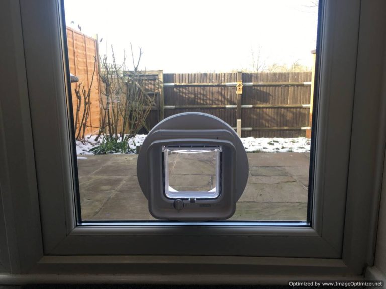 Just Cat Flaps, cat flap in wall, wall cat flap, microchip cat flap eastbourne, eastbourne cat flap fitted, cat flap fitter, cat flap fitted, wall mounted cat flap, wall cat flap installer, microchip cat flap, how to fit a cat flap through a wall, handyman to fit cat flap, ben cat flap fitter, petsafe, locking staywell cat flap, catflaps, pet doors, petdoors, petdoor, dog door, doggie door, remove cat flap