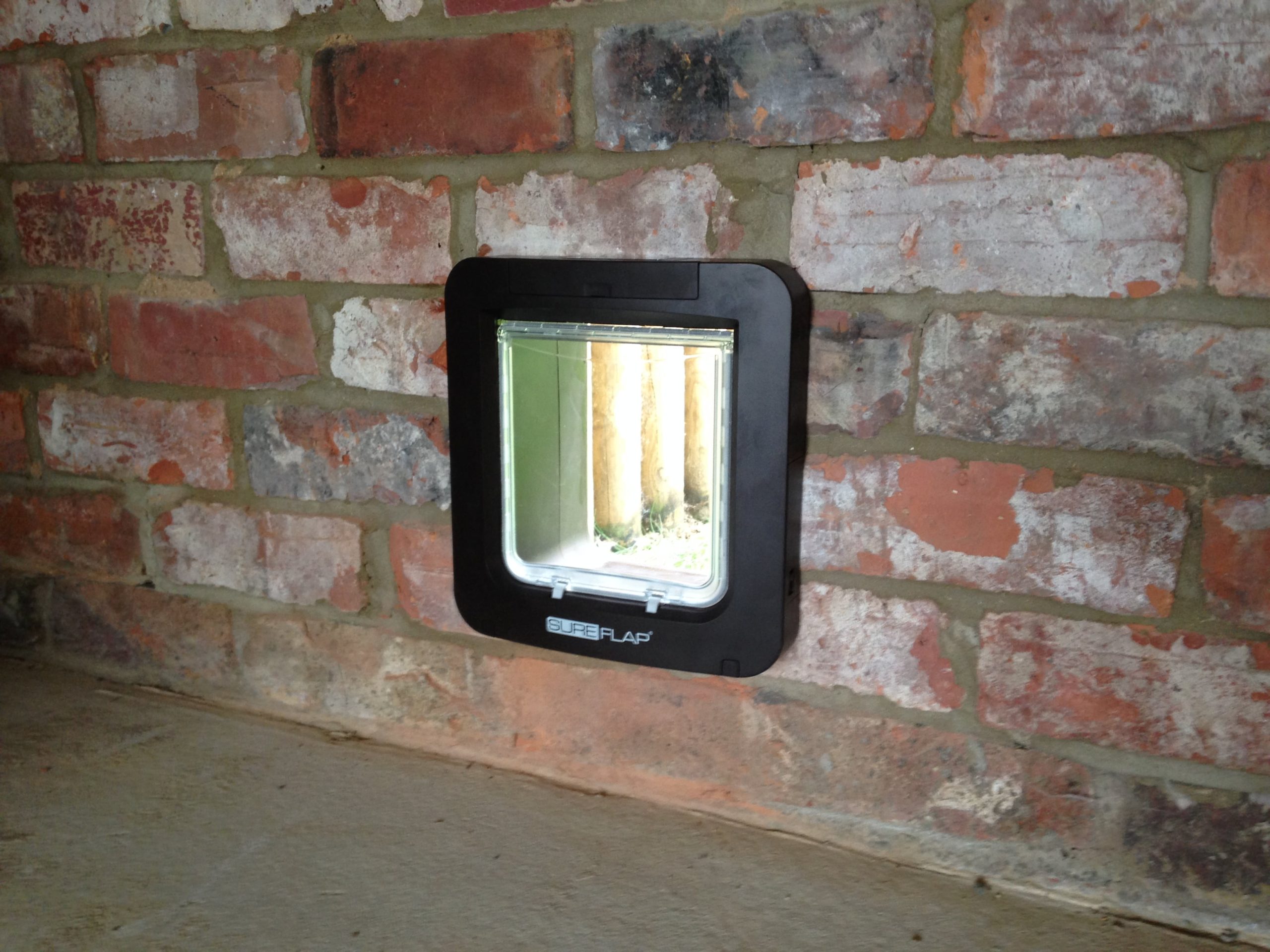 Just Cat Flaps, cat flap in wall, wall cat flap, microchip cat flap eastbourne, eastbourne cat flap fitted, cat flap fitter, cat flap fitted, wall mounted cat flap, wall cat flap installer, microchip cat flap, how to fit a cat flap through a wall, handyman to fit cat flap, ben cat flap fitter, petsafe, locking staywell cat flap, catflaps, pet doors, petdoors, petdoor, dog door, doggie door, remove cat flap