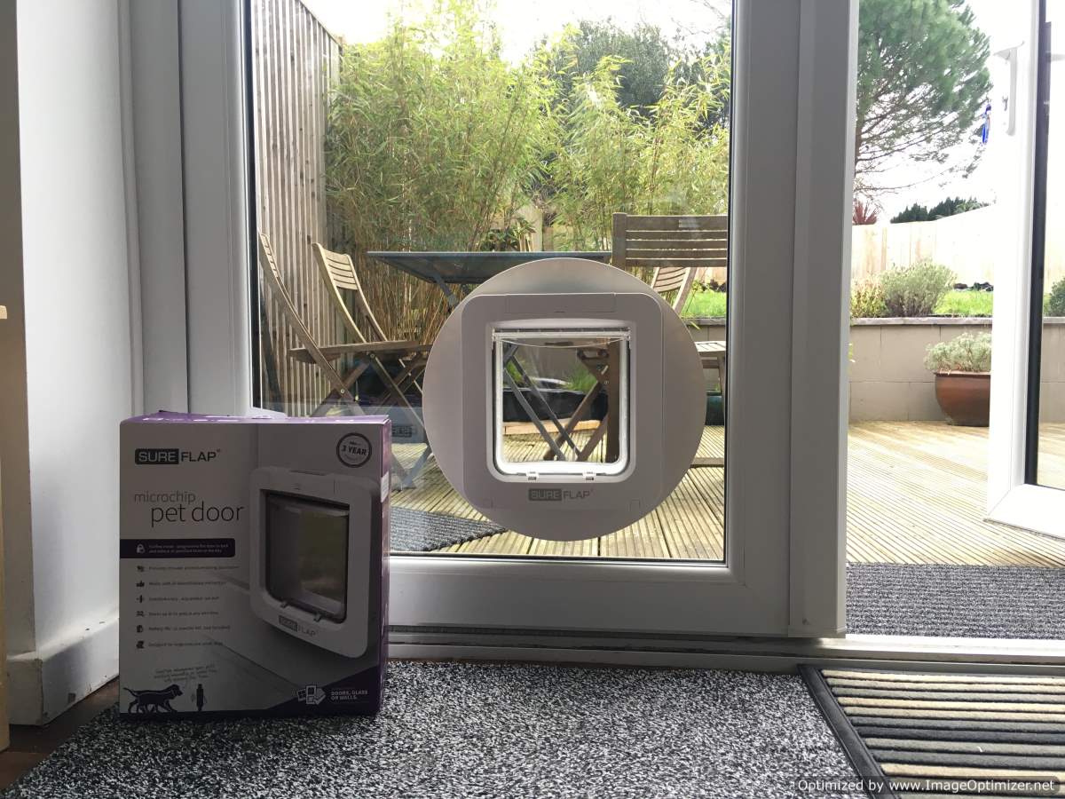 cat flap in wall, wall cat flap, microchip cat flap eastbourne, eastbourne cat flap fitted, cat flap fitter, cat flap fitted, wall mounted cat flap, wall cat flap installer, microchip cat flap, how to fit a cat flap through a wall, handyman to fit cat flap, ben cat flap fitter, petsafe, locking staywell cat flap, catflaps, pet doors, petdoors, petdoor, dog door, doggie door, remove cat flap