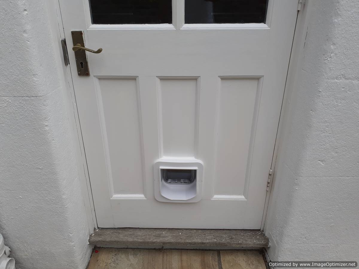 Just Cat Flaps, cat flap in wall, wall cat flap, microchip cat flap eastbourne, eastbourne cat flap fitted, cat flap fitter, cat flap fitted, wall mounted cat flap, wall cat flap installer, microchip cat flap, how to fit a cat flap through a wall, handyman to fit cat flap, ben cat flap fitter, petsafe, locking staywell cat flap, catflaps, pet doors, petdoors, petdoor, dog door, doggie door, remove cat flap