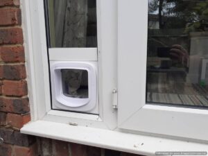 Just Cat Flaps, cat flap in wall, wall cat flap, microchip cat flap eastbourne, eastbourne cat flap fitted, cat flap fitter, cat flap fitted, wall mounted cat flap, wall cat flap installer, microchip cat flap, how to fit a cat flap through a wall, handyman to fit cat flap, ben cat flap fitter, petsafe, locking staywell cat flap, catflaps, pet doors, petdoors, petdoor, dog door, doggie door, remove cat flap, narrow glass cat flap, double glazing cat flap, glass cat flap