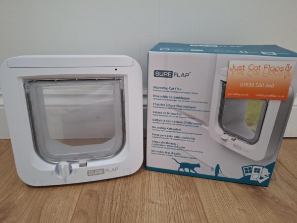 Just Cat Flaps, cat flap in wall, wall cat flap, microchip cat flap eastbourne, eastbourne cat flap fitted, cat flap fitter, cat flap fitted, wall mounted cat flap, wall cat flap installer, microchip cat flap, how to fit a cat flap through a wall, handyman to fit cat flap, ben cat flap fitter, petsafe, locking staywell cat flap, catflaps, pet doors, petdoors, petdoor, dog door, doggie door, remove cat flap, microchip cat flap